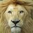 @amazinwildlife