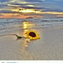 سلوى محمد (@010salwa010) Twitter