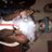Mello_HD1