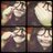 Twitter result for Evans from breebree_evans