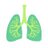 Asthma Papers