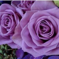 @1F_oo_Z