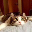 ACEK98