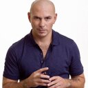 pitbull