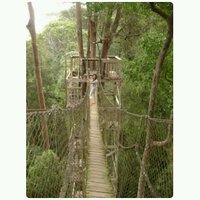 @PutrianiSyarif