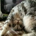 Nur__Izzati