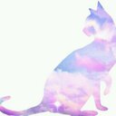 Nさんฅ^•ω•^ฅ (@002295) Twitter