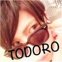 とどろ (@0135493) Twitter
