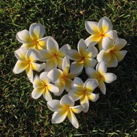 @ma59