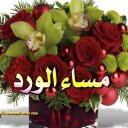استقدام من مصر (@01227472040) Twitter