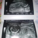 Luciana Alarcon (@0069ed5b1816441) Twitter