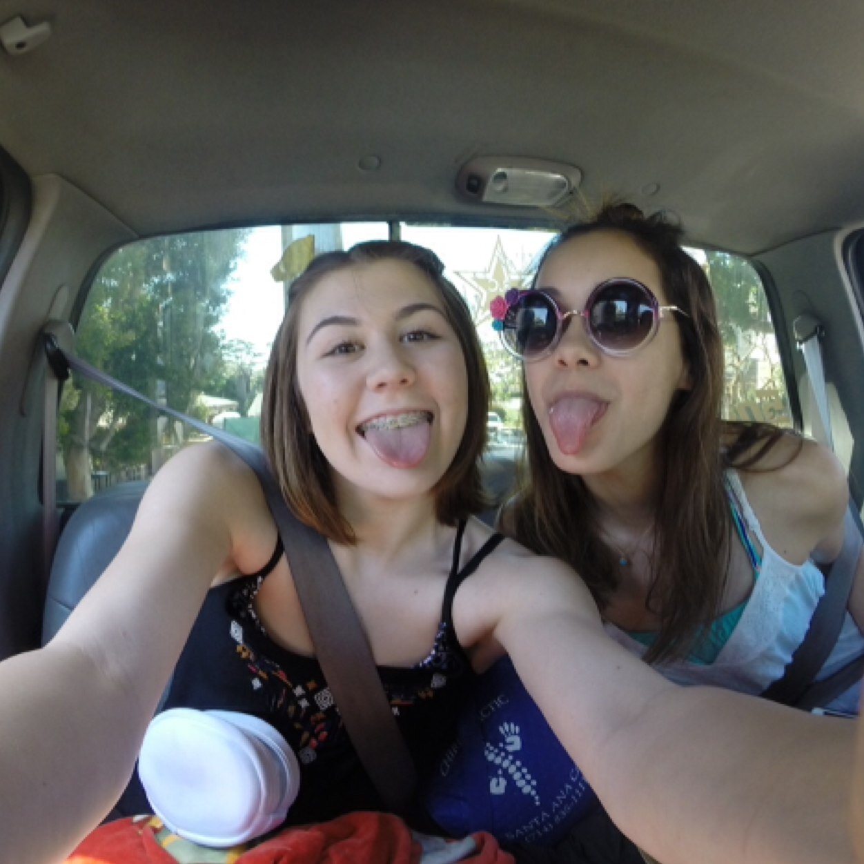 murray hallam dvd free download