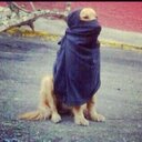 eliecer suarez (@00_eliecer) Twitter