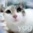 yog
@yogyog70 yogyog70