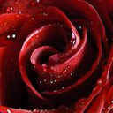 أ/شمس العمري (@006Shams) Twitter