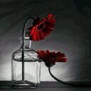 فهد (@00991178) Twitter