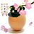 @kousuke1108wa