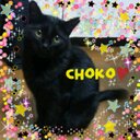 IKU★ (@02060617) Twitter