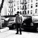 Pollito_High