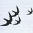 Barnsley Birders