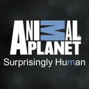 AnimalPlanet