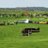 Withington_HT