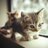 @_Ruka14_
