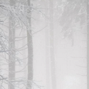 011011010101 (@011011010101) Twitter