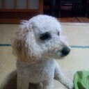 田辺 宏哉 (@002Ht) Twitter