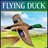 Flying Duck - Ilkley