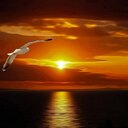 محمود المصرى (@01006802508) Twitter