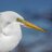 Twitter result for Classic Detail from PhotoArtByDawn