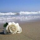 Ðяёαм (@01421Dream) Twitter