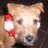 Twitter result for Dorothy Perkins from elvy106