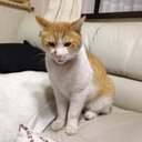 石井毅 (@0129_bb) Twitter