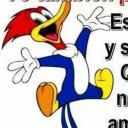 oscar (@00bicho) Twitter