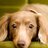 2017/11/03 09:43 PIERO6969