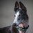 @BerylsMum's avatar - Go to profile