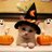 @nekoga9