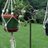 HangingintheCountry