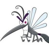 @Insecto4