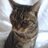 profil_image_twitter