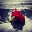 shosho al somaily (@00Hamda) Twitter