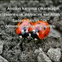 medine can (@0000Medinecan3) Twitter