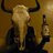 Pornstar Shay Ryan on Twitter Pornstar Shay Ryan on Twitter