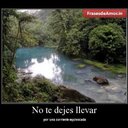 teresitamorales (@010519939) Twitter