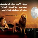 aziz al sny (@00fa7790fa634e3) Twitter