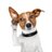 Twitter result for Argos from akou_ga