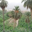 نتعاون على الخير (@00abdullah00000) Twitter