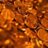 Viral Pennies